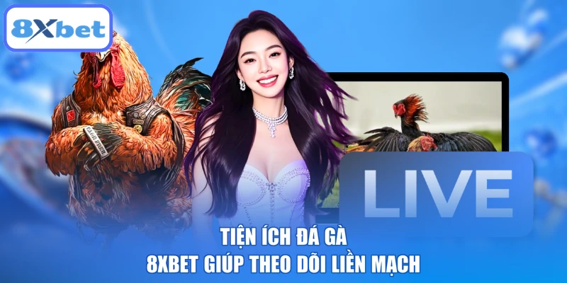 Tiện ích đá gà 8XBET giúp theo dõi liền mạch